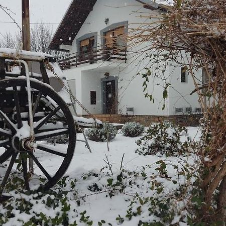 Moj Salas Hostal Novi Sad Exterior foto