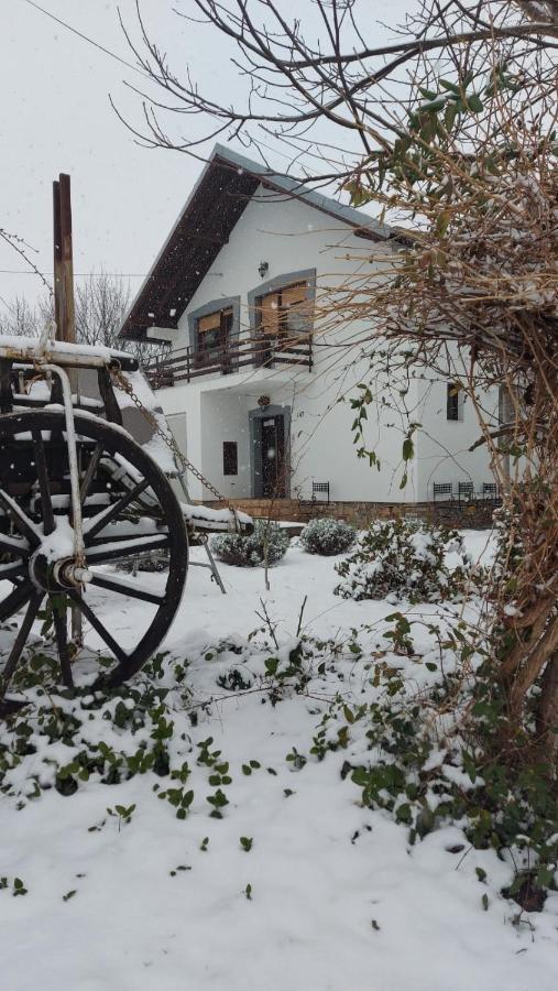 Moj Salas Hostal Novi Sad Exterior foto